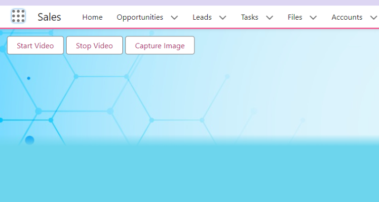 Image capture in LWC